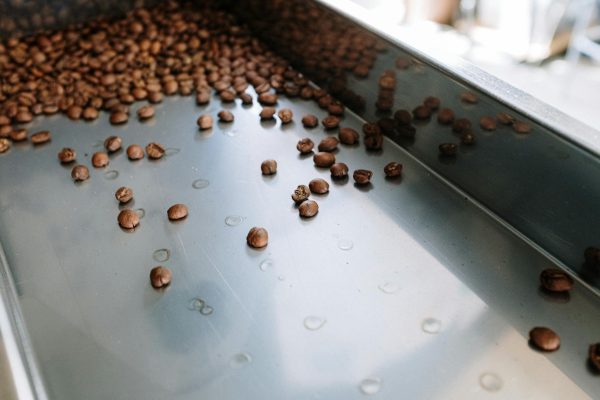 Detailed close-up of coffee beans cooling in a stainless steel roasting machine indoors.