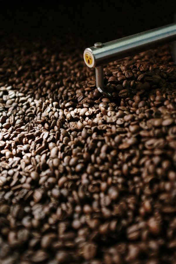 Detailed view of coffee beans in a roasting machine with steel arm inside a professional roaster.